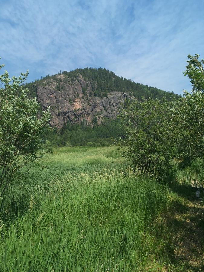 La Chouette Viree Bed and Breakfast Grandes-Bergeronnes Εξωτερικό φωτογραφία