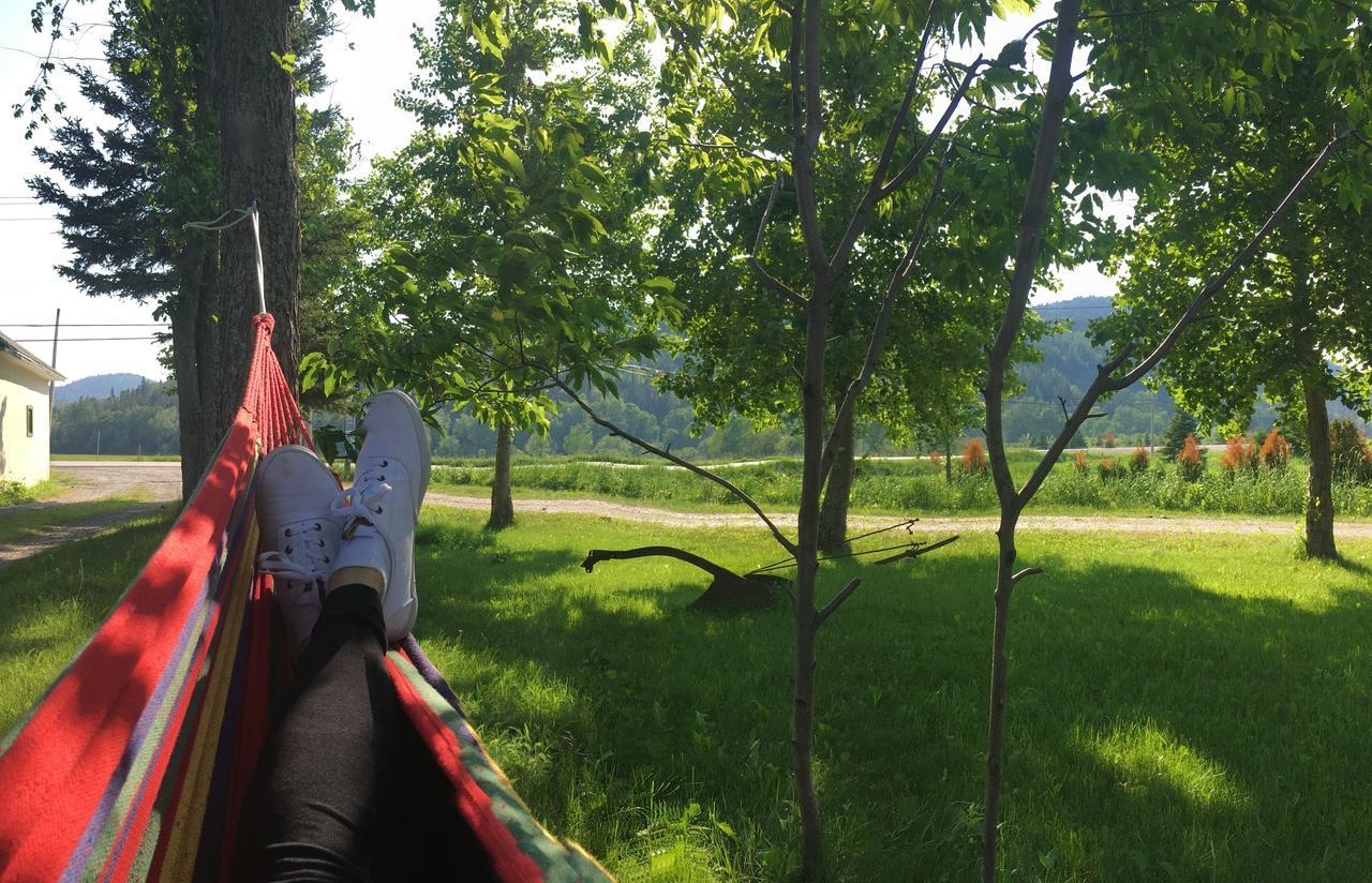 La Chouette Viree Bed and Breakfast Grandes-Bergeronnes Εξωτερικό φωτογραφία