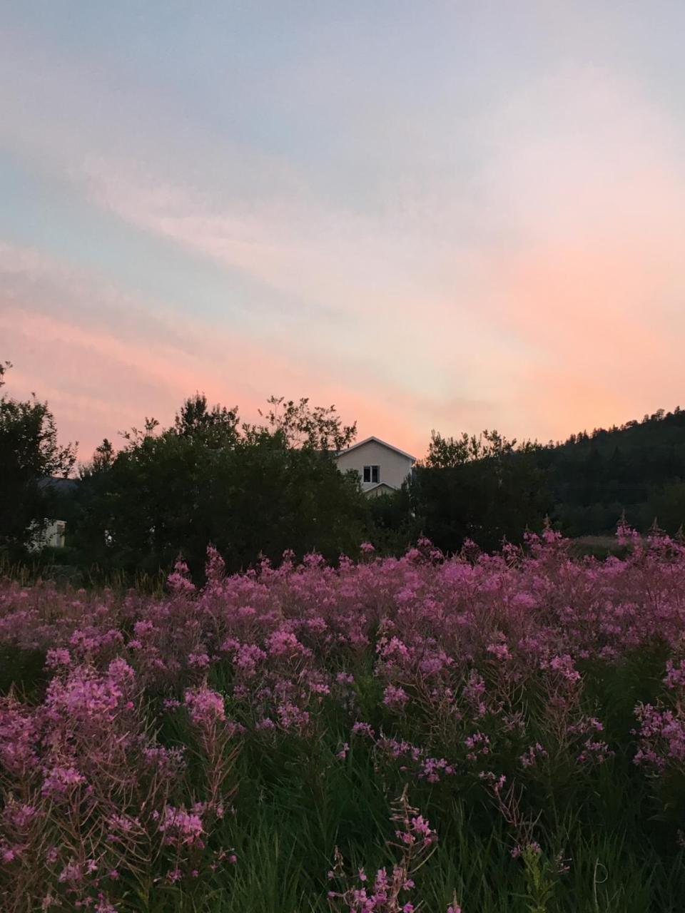 La Chouette Viree Bed and Breakfast Grandes-Bergeronnes Εξωτερικό φωτογραφία
