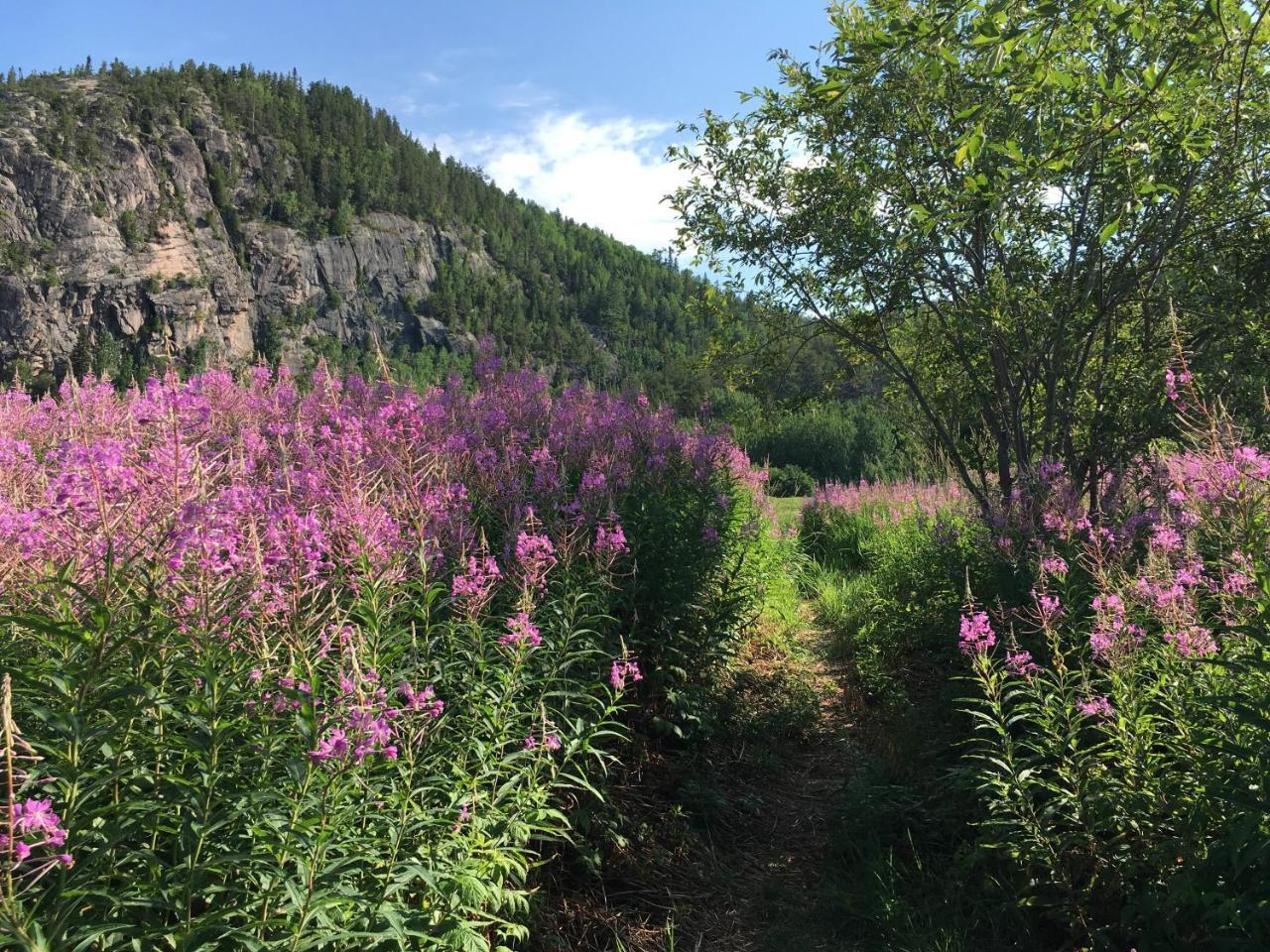 La Chouette Viree Bed and Breakfast Grandes-Bergeronnes Εξωτερικό φωτογραφία